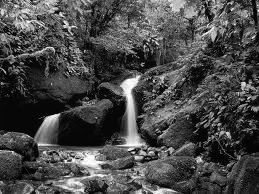paisaje en cuba